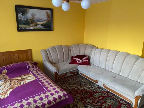 a living room with a couch and a chair at Noclegi u Janika in Mizerna