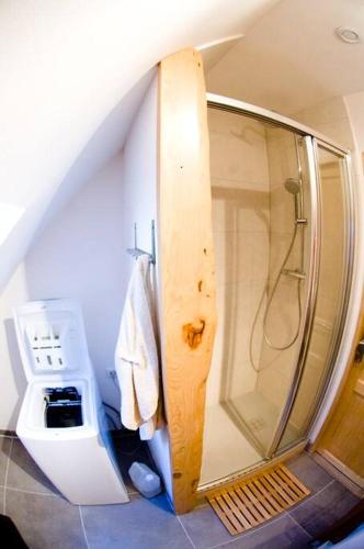 une douche avec une porte vitrée dans une salle de bain dans l'établissement Gite Staufen, à Thann