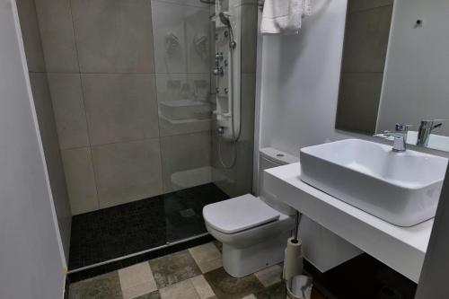 a bathroom with a sink and a toilet and a shower at La Sinagoga in Peñaranda de Duero