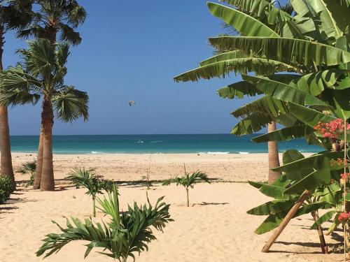 a sandy beach with palm trees and the ocean at Vila Mare - Praia de Chaves frontline in Cabeçadas