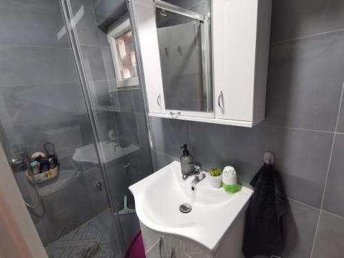 スボティツァにあるNacional 2 apartmanのバスルーム(シンク、シャワー付)