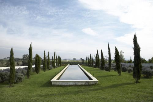 a row of cypress trees and a pond in a field at Hawksmoor House in Stellenbosch