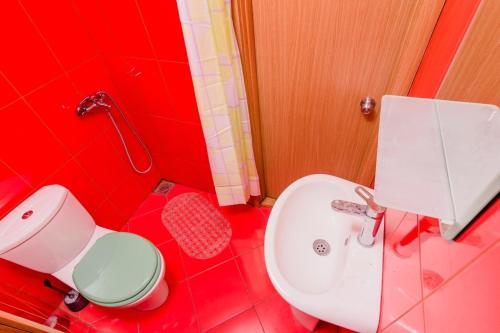 a red bathroom with a toilet and a sink at Villa Strp in Risan