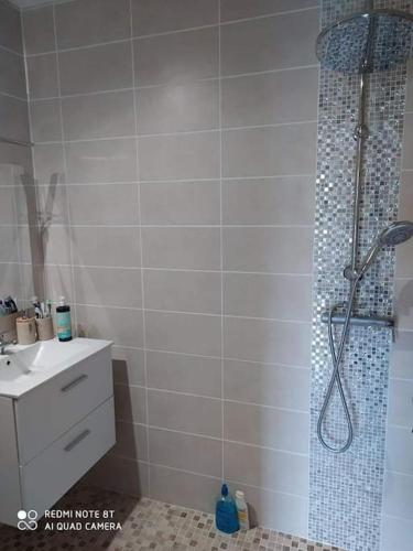 une salle de bain avec douche et lavabo dans l'établissement Maison de bourg à 5 minutes de Soulac Sur Mer, à Talais