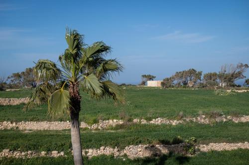 Gallery image of Ta' Gigi 5 Bedroom Farmhouse with Private Pool in Għarb