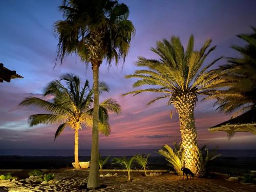 two palm trees on the beach at sunset at Vila Mare - Praia de Chaves frontline in Cabeçadas