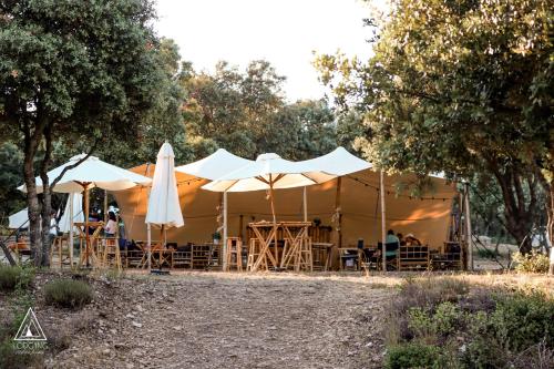 Lodg'ing Nature Camp Luberon في Saint-Michel-lʼObservatoire: خيمة مع طاولات ومظلات في الحديقة
