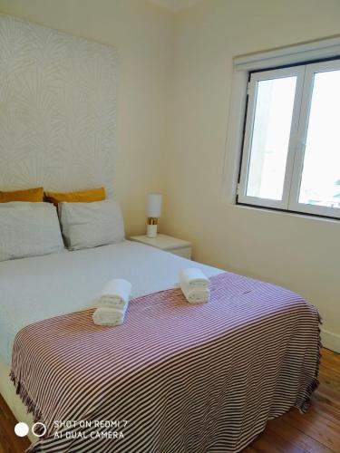NEW! Cozy apartment in the center