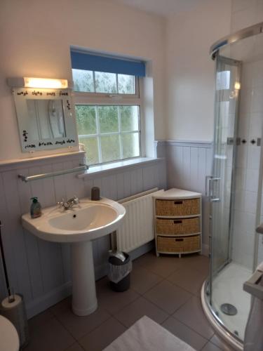 a bathroom with a sink and a shower at 13 Pearse Tce. in Sligo