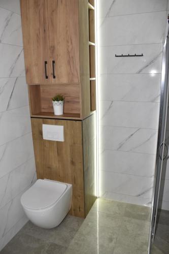 ein Bad mit einem WC und einer Dusche in der Unterkunft Apartament Calisia in Kalisz