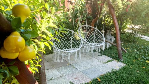 a couple of white chairs sitting in a garden at Casa Adelina in Băile Herculane