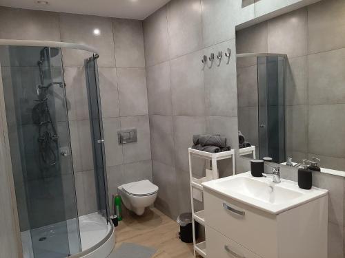 łazienka z prysznicem, umywalką i toaletą w obiekcie Central Platinum Apartments 24 w Rybniku