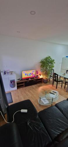 a living room with a couch and a flat screen tv at Apartman MURKO P-2 in Brest