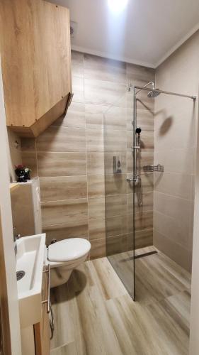 a bathroom with a shower and a toilet and a sink at Apartmani blue i green in Bugojno