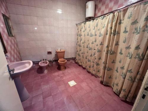 een badkamer met een toilet, een wastafel en een douche bij Student House in Madaba