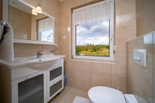 a bathroom with a sink and a window at Apartments Stare Brajde in Lopar