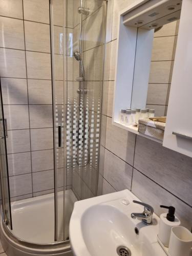 een badkamer met een wastafel en een douche bij Skitnica House sobe in Koprivnica
