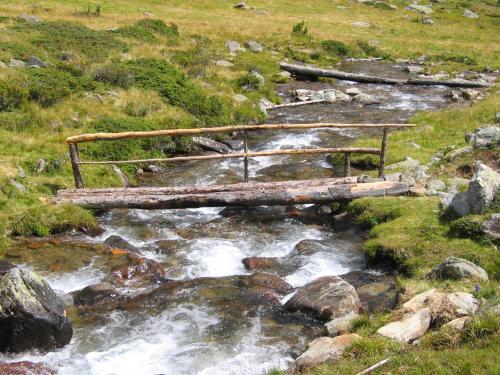 a wooden bridge over a stream in a field at Natur Pur Hotel Unterpichl in Ultimo