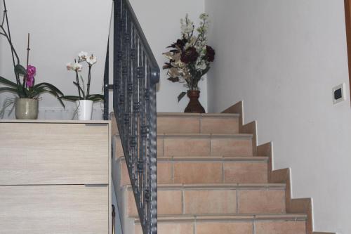 a set of stairs with potted plants and flowers at Alla Stazione in Monfalcone