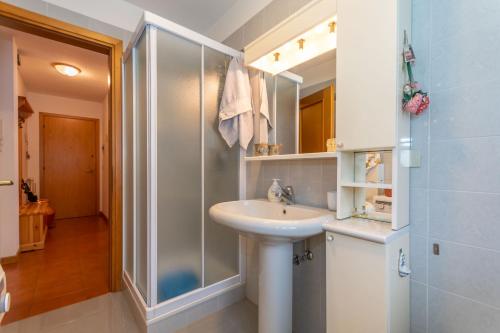 ein Badezimmer mit Waschbecken und Dusche in der Unterkunft Ciesa Migon in Alleghe