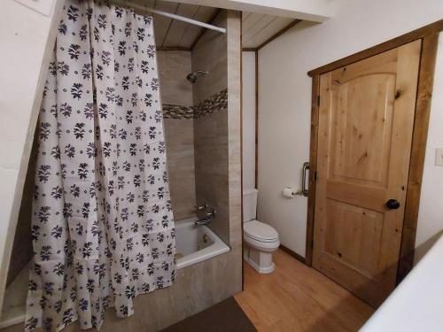 a bathroom with a shower curtain and a toilet at Julian House of Games in Julian