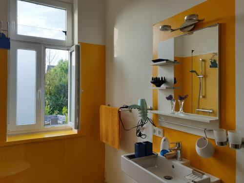 a bathroom with a sink and a mirror and a window at Gästewohnung Schwanenteich in Ueckermünde