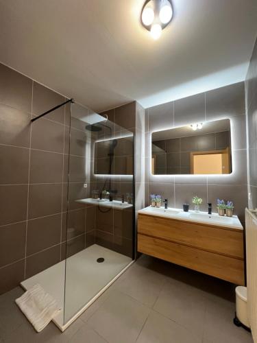 a bathroom with a shower and a sink and a mirror at Antwerp City Appartment in Antwerp