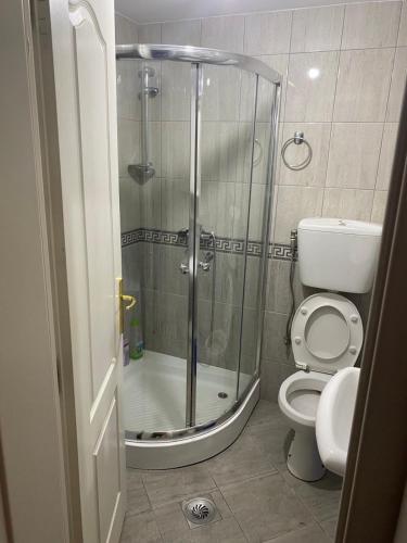 a bathroom with a shower and a toilet at Apartman Maksimović in Banja Koviljača