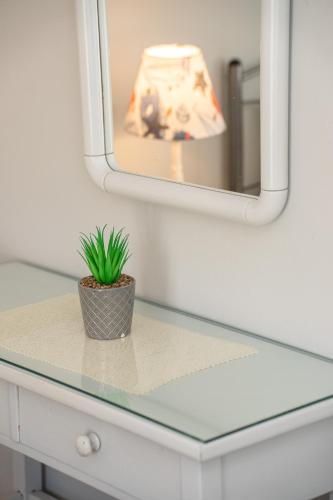 a glass counter top with a potted plant on it at Minas Apartments in Divarata