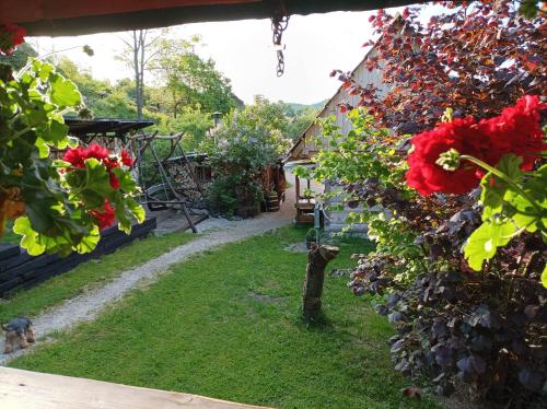 a garden with red flowers and a house at Chata Evka in Ružomberok