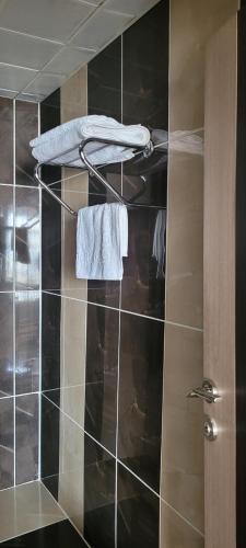a bathroom with a shower with a towel on a shelf at Güngören Hotel in Kars