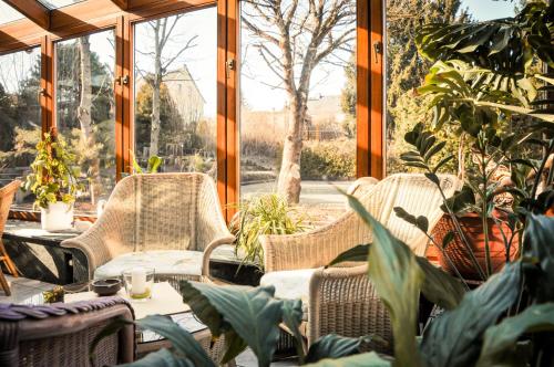a patio with chairs and plants in a conservatory at Schneiderlein Hotel in Limbach - Oberfrohna