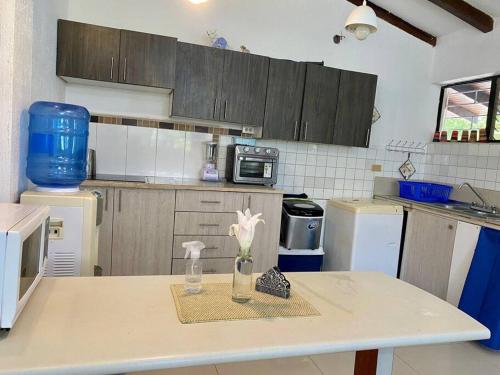 una cocina con una mesa con un jarrón de flores. en Casa Albatros (Playa-Esmeraldas) en Tonsupa