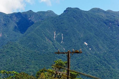 a pole with birds on it in front of a mountain at Sobrado da Vila, 1km Centro, ideal Trabalho e Passeio in Morretes
