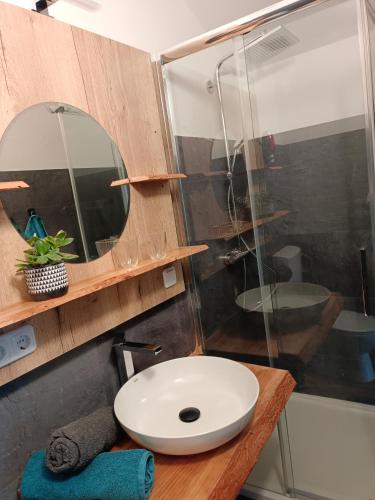 a bathroom with a sink and a mirror at Frühstückspension Lemberger in Dellach im Drautal