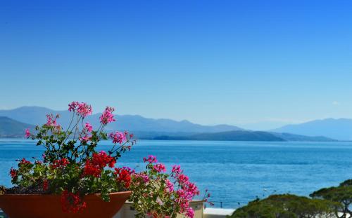 a flower pot on a wall with a view of the water at Hotel Gajeta in Gaeta
