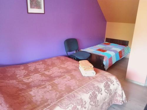 two beds and a chair in a room with purple walls at Brīvdienu māja"Jauneglites" in Skulte