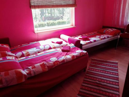 two beds in a room with pink walls and a window at Brīvdienu māja"Jauneglites" in Skulte