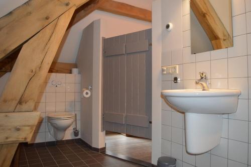 een badkamer met een wastafel en een toilet bij Herberg d'n Driesprong in Zeeland