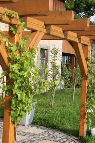 a wooden pergola with plants in a yard at Pension Hotel Sartor in Kurort Altenberg