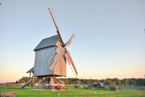 a wooden windmill in a grass field with the sky at Stiefelburg Der Berghof in Nauendorf