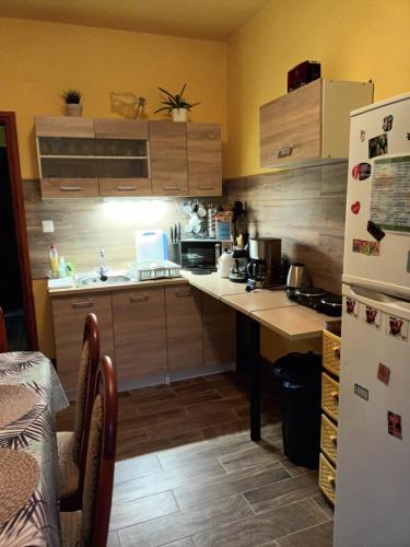 a kitchen with a counter and a refrigerator at Harcsáztat-Lak in Tiszaderzs