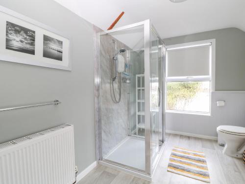 a white bathroom with a shower and a toilet at 6 Milton Place in Bideford