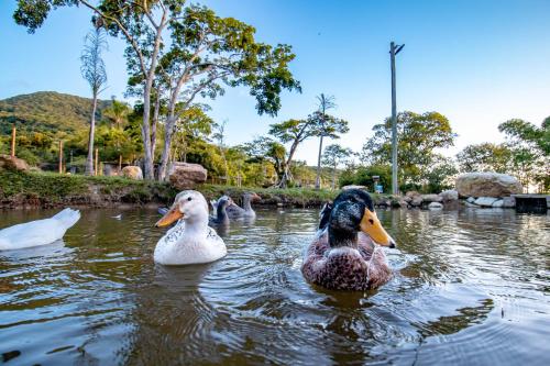 Naturlandskabet i nærheden af kroen