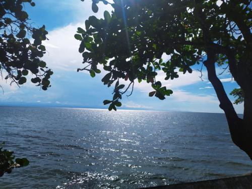 a view of the ocean through a tree frame at Cielito Lindo in Necoclí