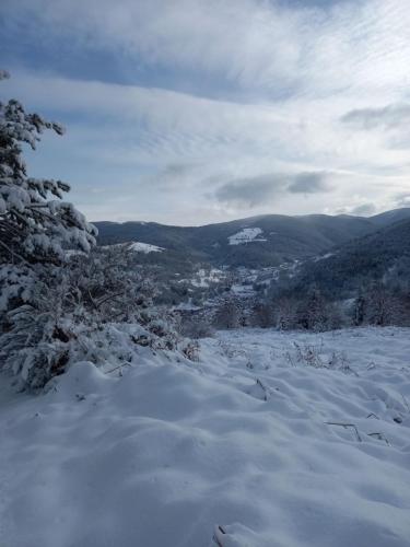 a snow covered mountain with a town in the distance at Le gîte des Kritter in Stosswihr