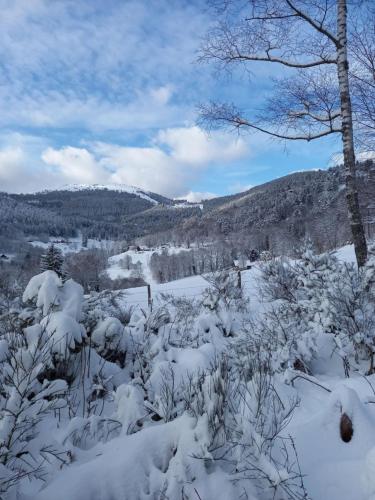 a snow covered field with trees and mountains in the background at Le gîte des Kritter in Stosswihr
