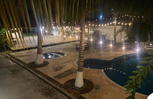a group of palm trees next to a pool at night at Quinta Calandria Haus in Cancún