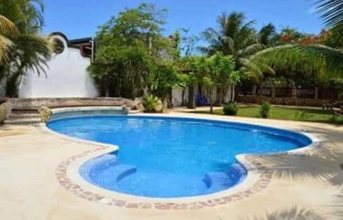 a large swimming pool in a yard with palm trees at Quinta Calandria Haus in Cancún