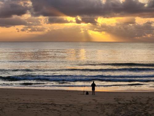 a man and a dog on the beach at sunset at Serenity Diamond Beach in Diamond Beach
